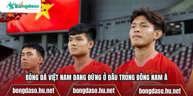 Bóng đá Việt Nam đang đứng ở đâu trong Đông Nam Á