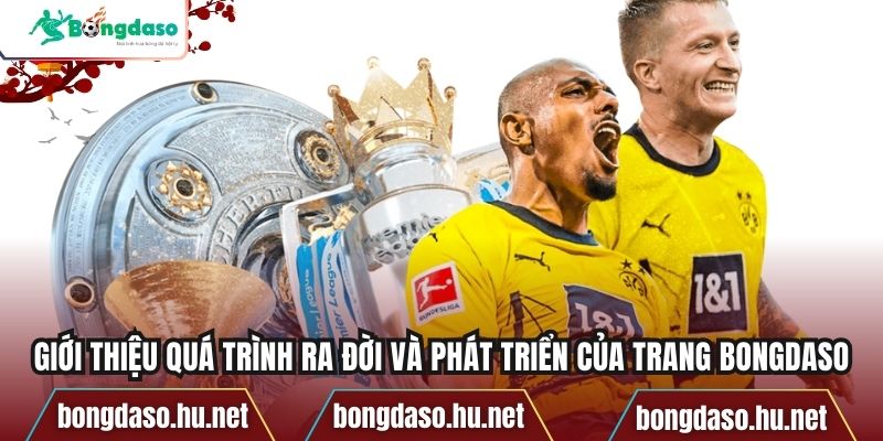 Giới thiệu quá trình ra đời và phát triển của trang Bongdaso