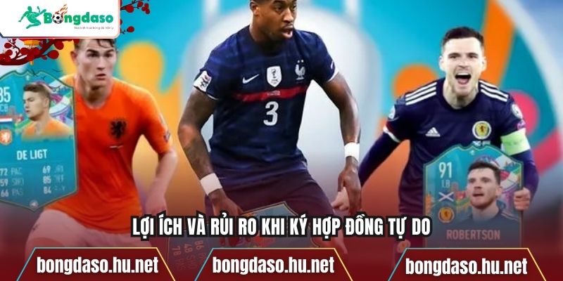 Lợi ích và rủi ro khi ký hợp đồng tự do