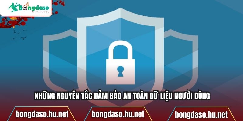 Những nguyên tắc đảm bảo an toàn dữ liệu người dùng