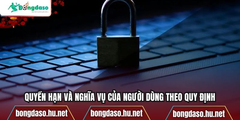Quyền hạn và nghĩa vụ của người dùng theo quy định