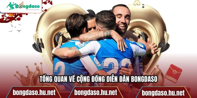 Tổng quan về cộng đồng diễn đàn Bongdaso